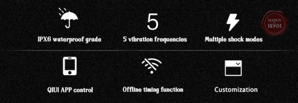 Accessoire de plaisir anal à distance, modèle Thunderbolt