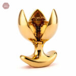 Stimulateur anal pour des moments de plaisir inoubliables
