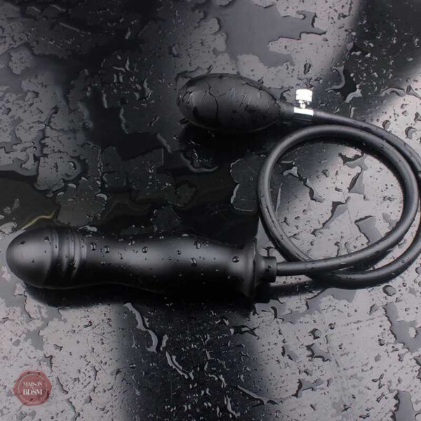 Plug anal ajustable, confort et sensations à explorer