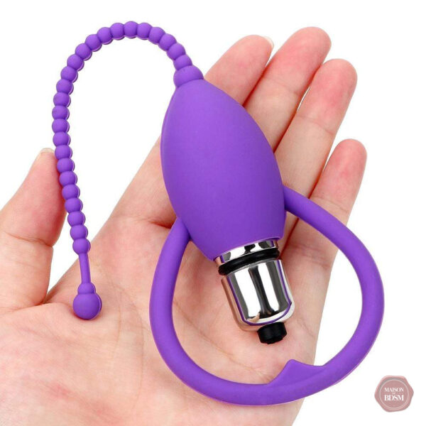 Plug anal vibrant, design coloré et perlé