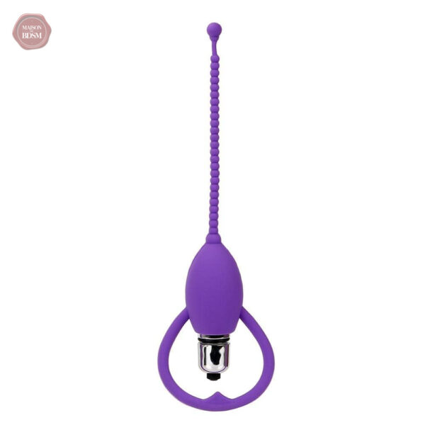 Accessoire érotique vibrant pour couples