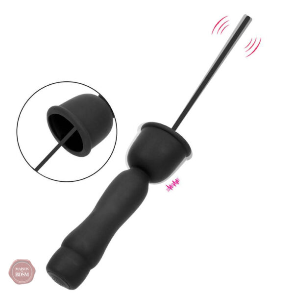 Plug pénis ergonomique, 10 vitesses de stimulation