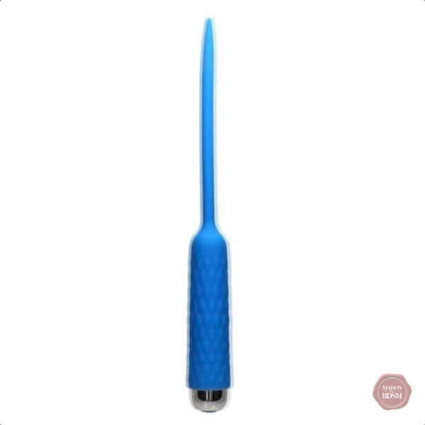 Dispositif de plaisir bleu en silicone, 10 vitesses