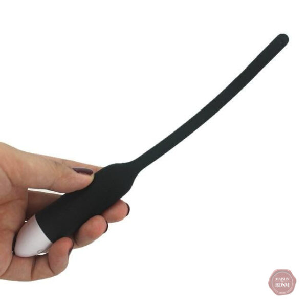 Plug vibrant pour hommes, 7 modes de vibration