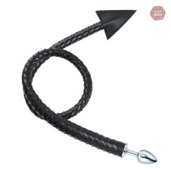 Accessoire de plaisir anal avec une finition élégante