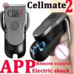 QIUI Cellmate 2 - cage de chasteté électrique