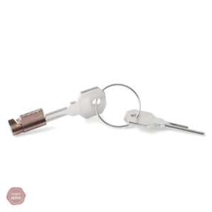 Serrure en acier inoxydable pour cage de chasteté
