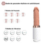 Dispositif de stimulation automatique pour le plaisir personnel