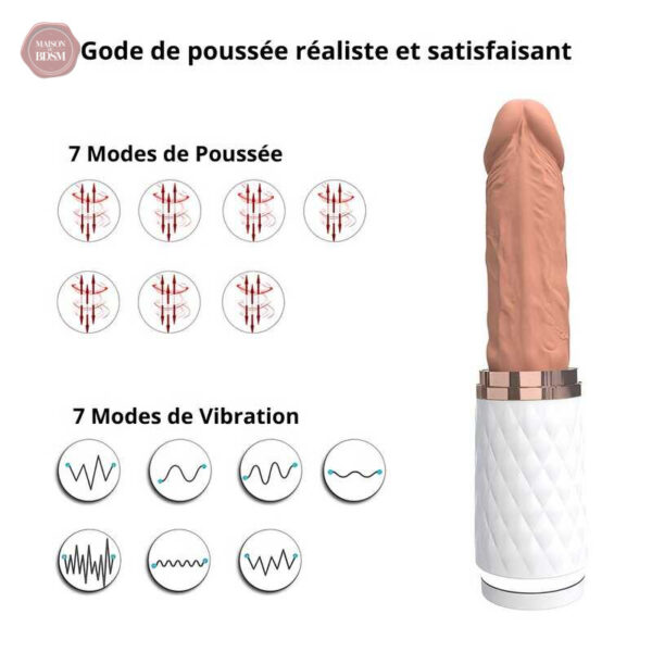 Dispositif de stimulation automatique pour le plaisir personnel
