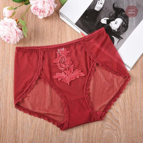 Élégance discrète avec la culotte Sissy Aimée