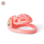 Cage de chasteté en plastique imprimé en 3D