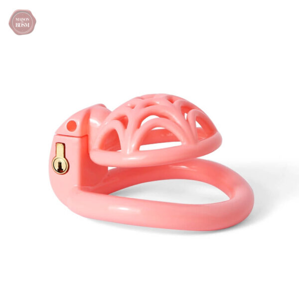 Cage de chasteté en plastique imprimé en 3D