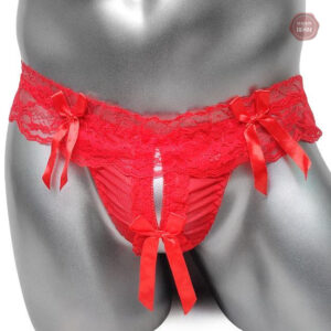 Sissy en dentelle, design chic et séduisant