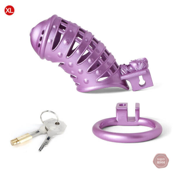 Modèle 3D de cage de chasteté Sissy