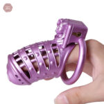 Cage de chasteté 3D avec design unique
