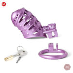 Accessoire de chasteté avec picots