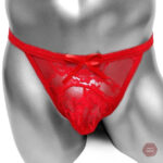 Culotte Sissy, le choix parfait pour l'audace