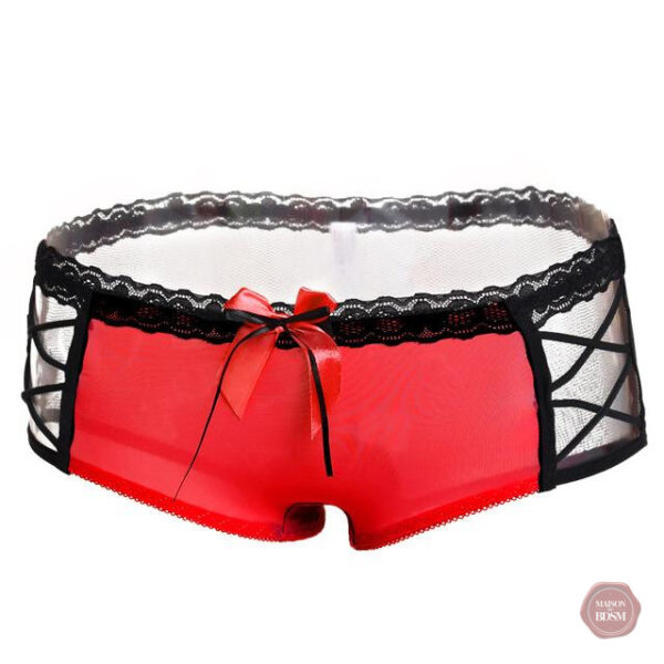 Lingerie sexy en dentelle, design taille basse élégant