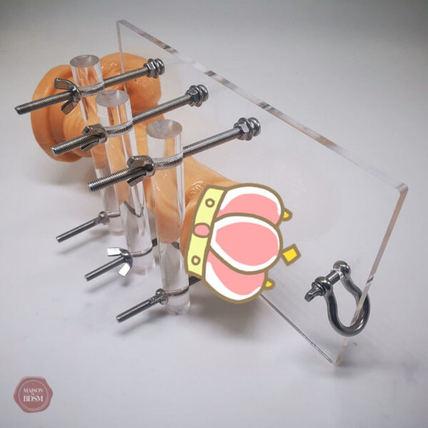 Accessoire de bondage pour CBT en acrylique