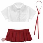 Costume sexy avec jupe courte et blouse