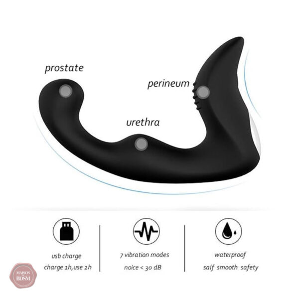 Masseur de prostate pour des sensations intenses