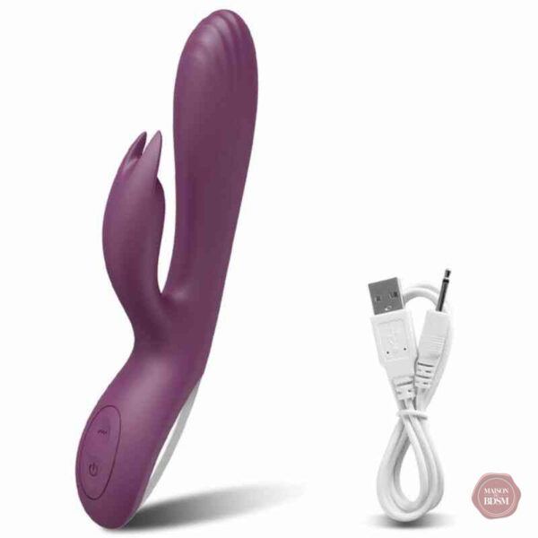 Vibromasseur rabbit, polyvalent pour toutes les envies
