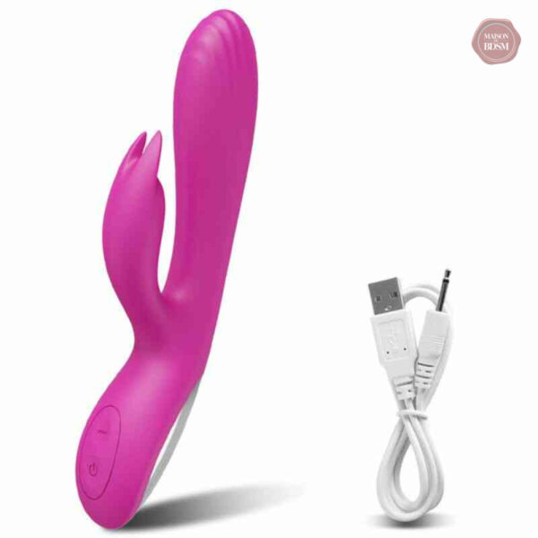 Stimulateur de plaisir, innovation dans le bien-être